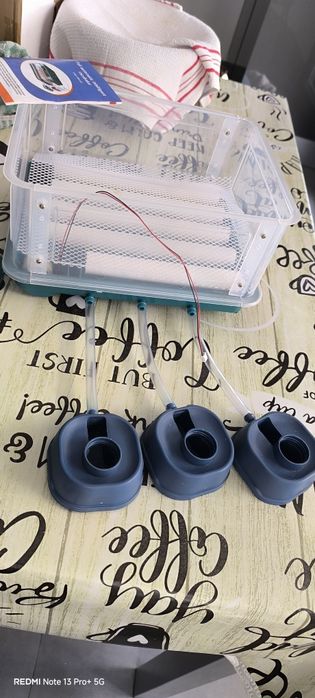 Incubadora para aves