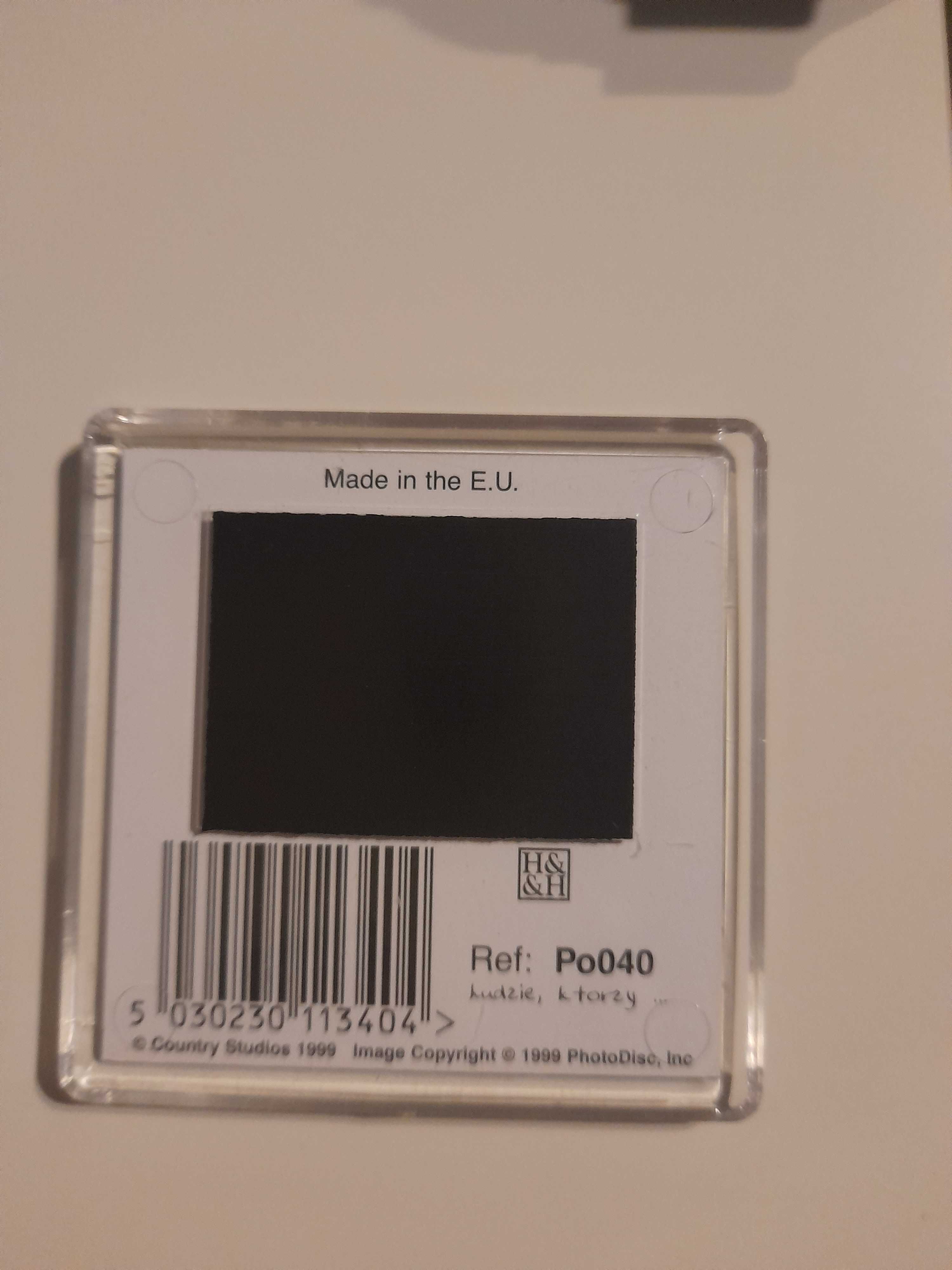 magnes na lodówkę z kotem