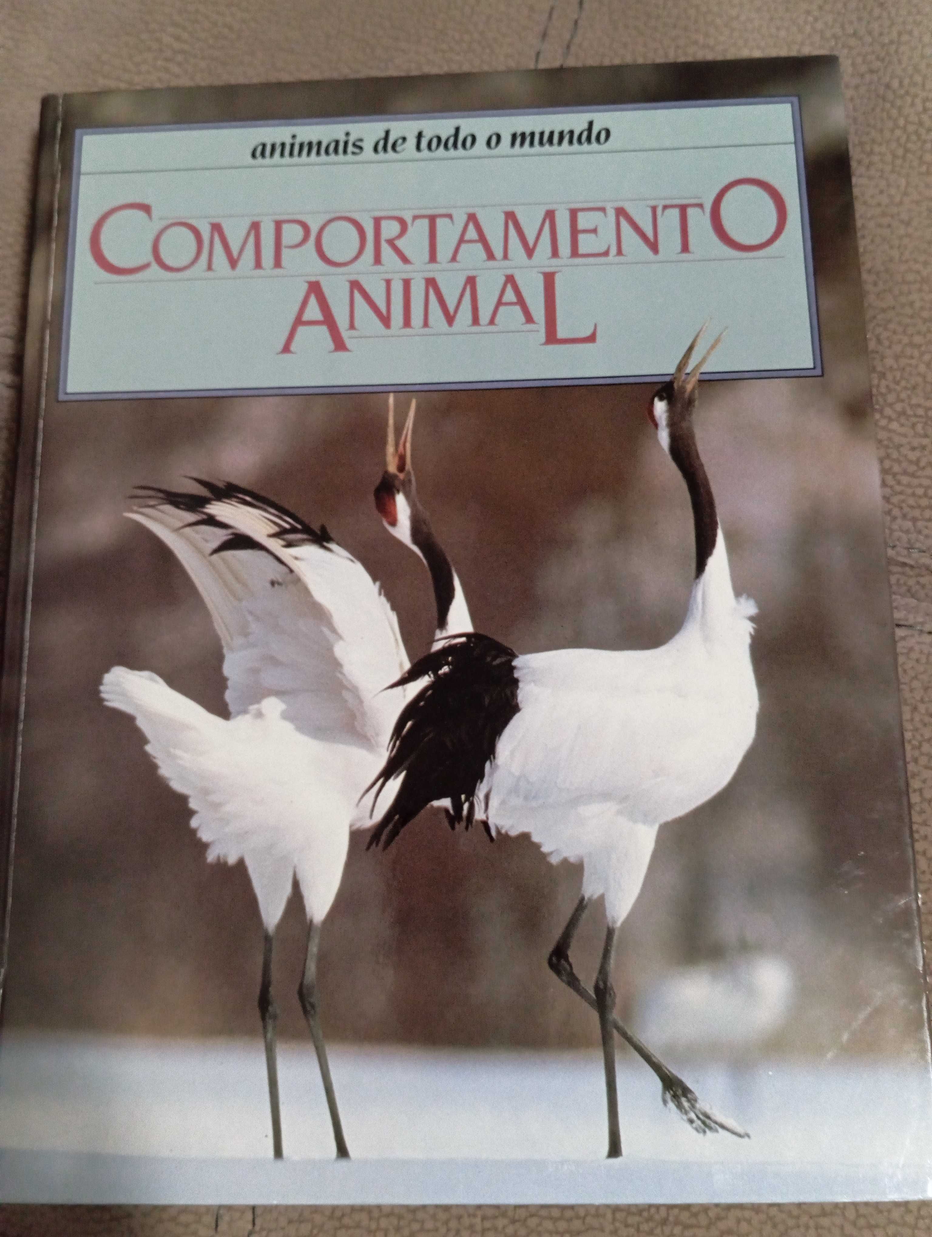 Enciclopédia de 12 livros sobre animais de todo o mundo