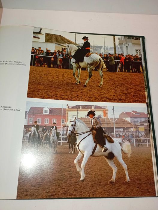 Cavalo Lusitano - O Filho do Vento