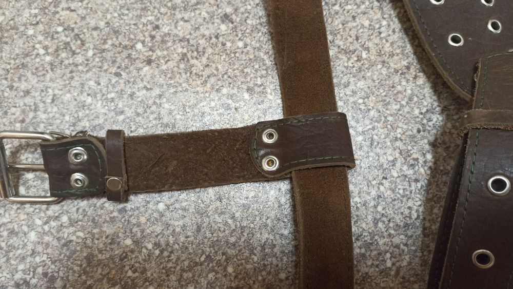 Шлейка  на собаку,продам Шлейку на велику собаку кожана, в гарному ста