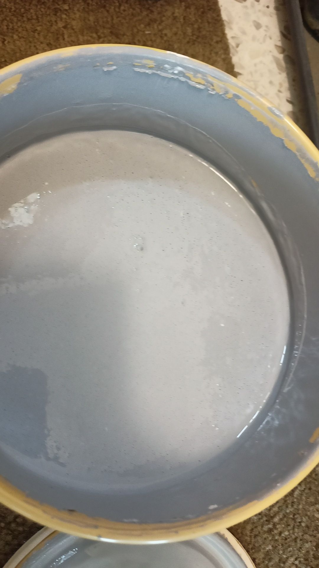 Lakierobejca Jasnoszary 2,5l Lakier Bejca