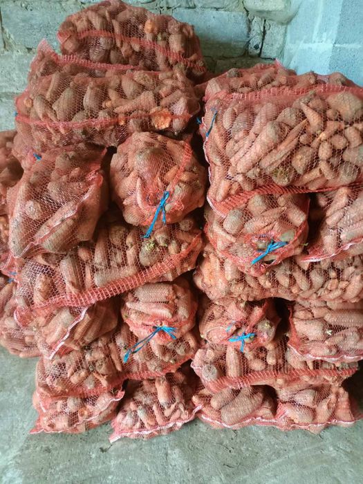 Морква некондиція неліквід на корм, морква на переробку.