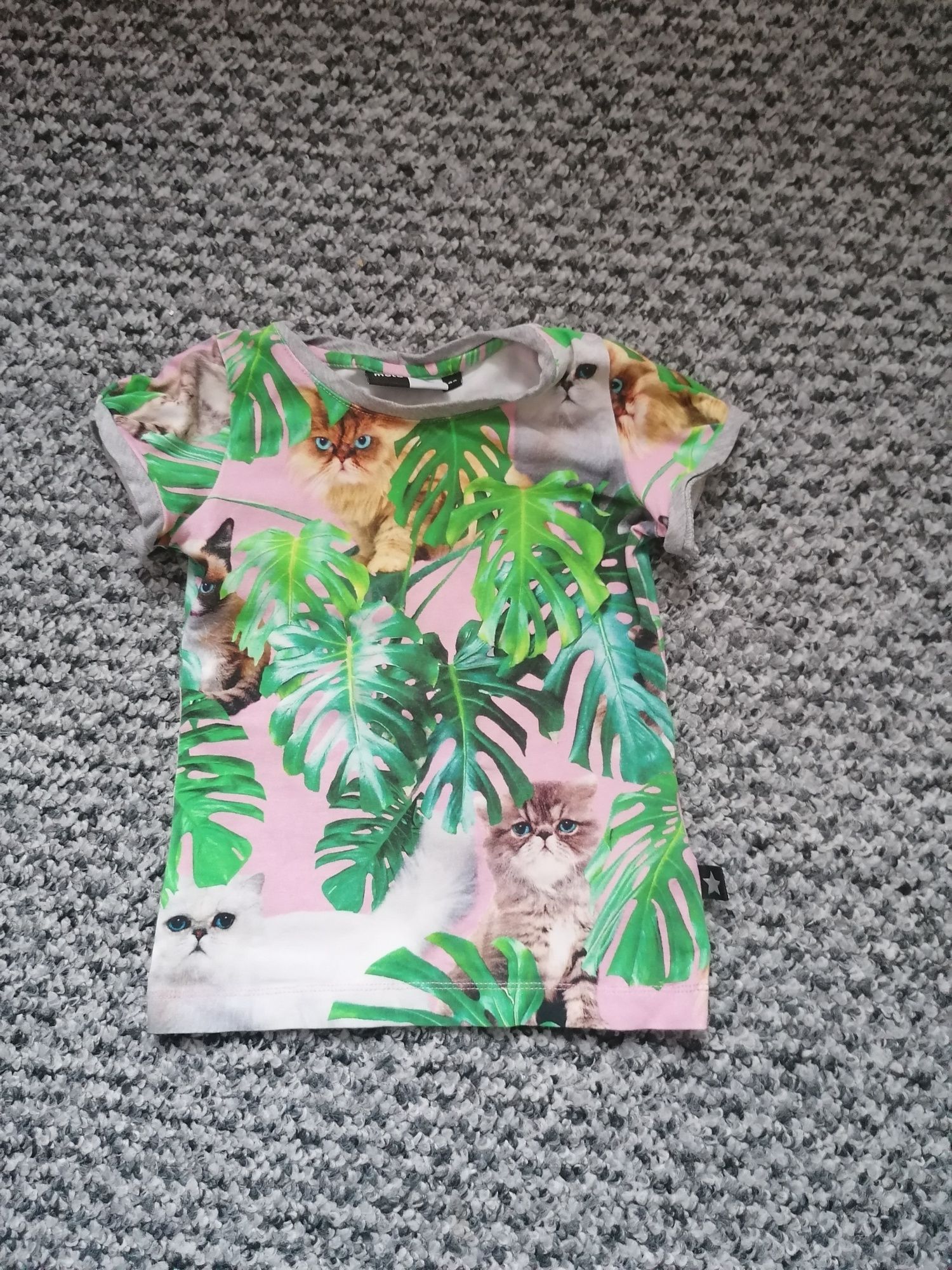Bluzka 92 koszulka monstera koty molo
