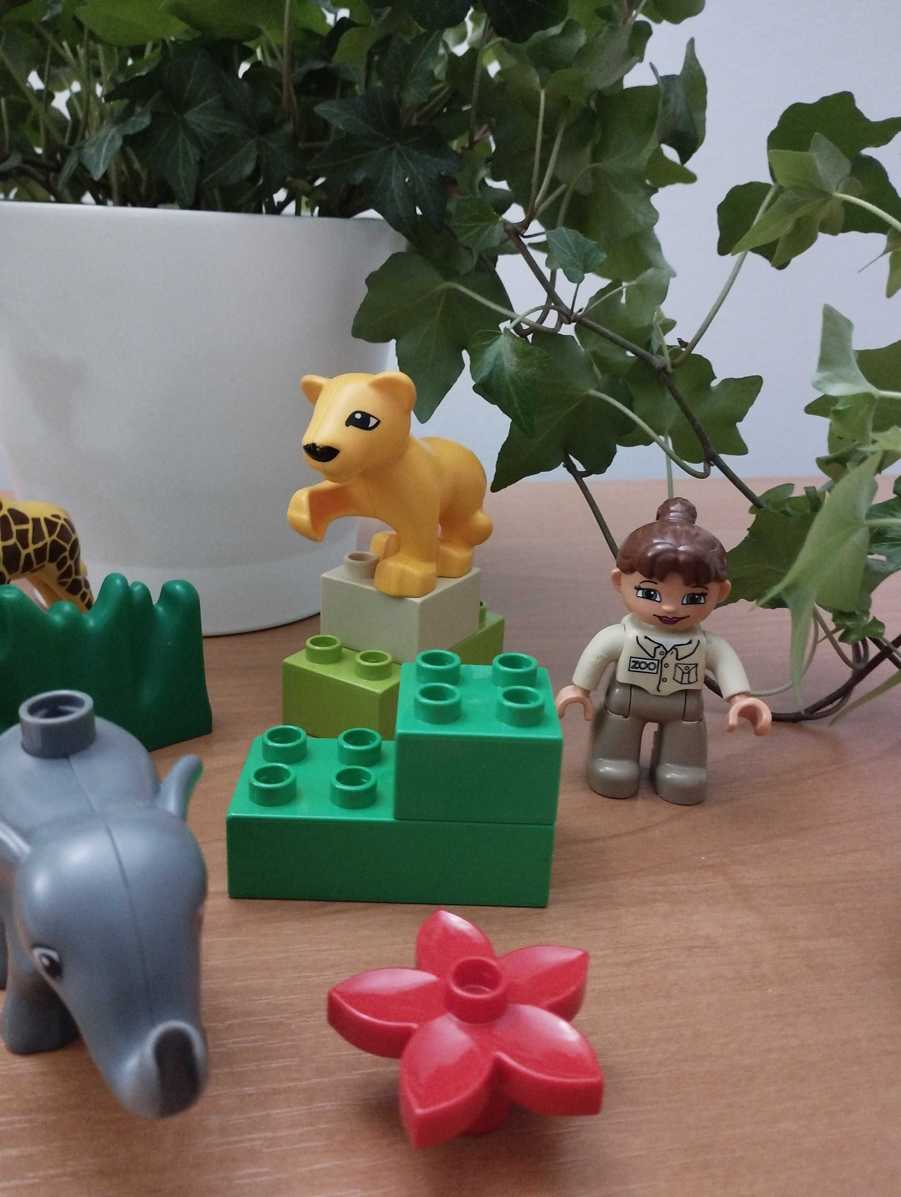 Klocki LEGO Duplo zestaw Mini zoo