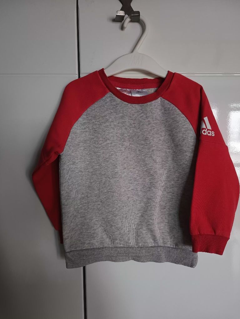 Bluza szara adidas