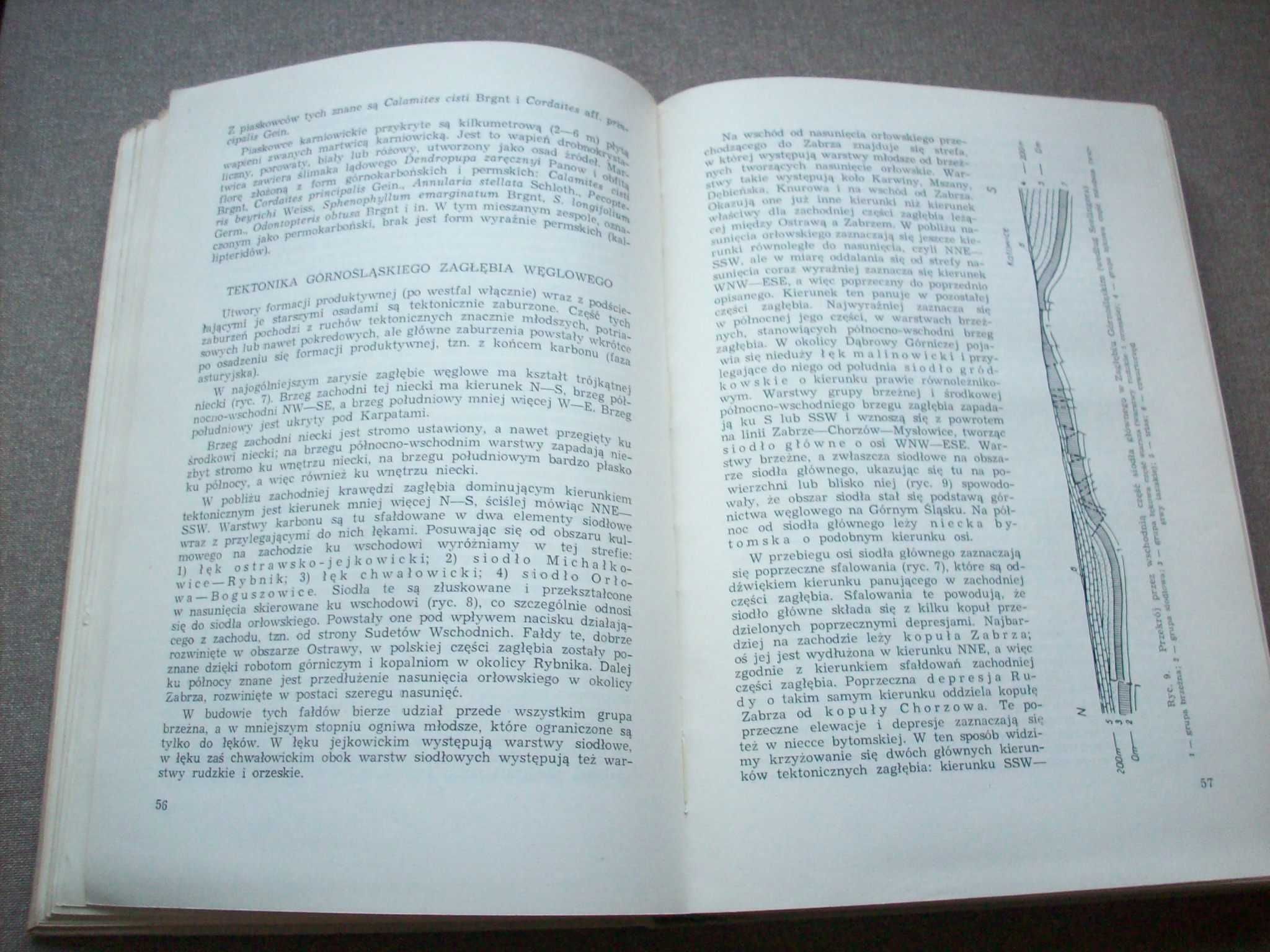 Zarys geologii Polski, Książkiewicz, Samsonowicz, Ruchle, 1965.