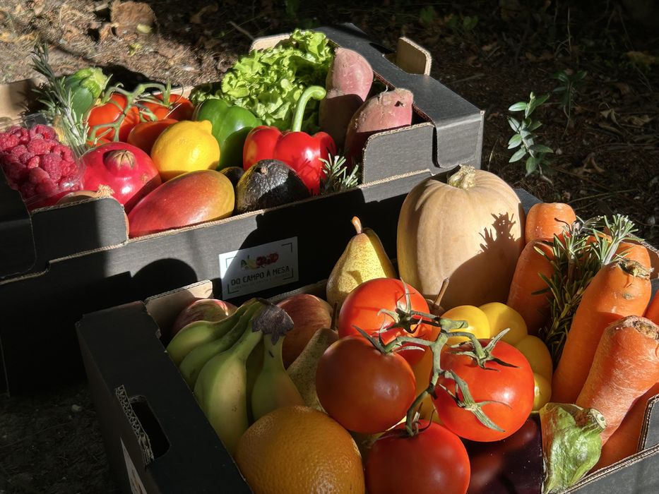 Cabazes de fruta e legumes frescos