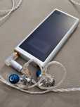 Sony nw-zx300 plus Dita Project M