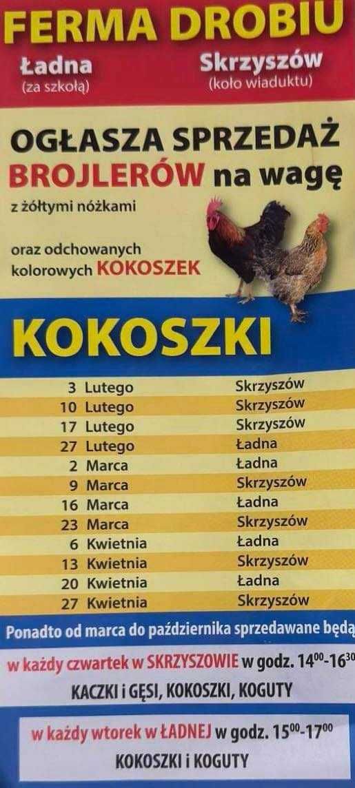 Sprzedaż BROJLERY(KG)/KOKOSZKI Ferma Drobiu Ładna-Skrzyszów 2024