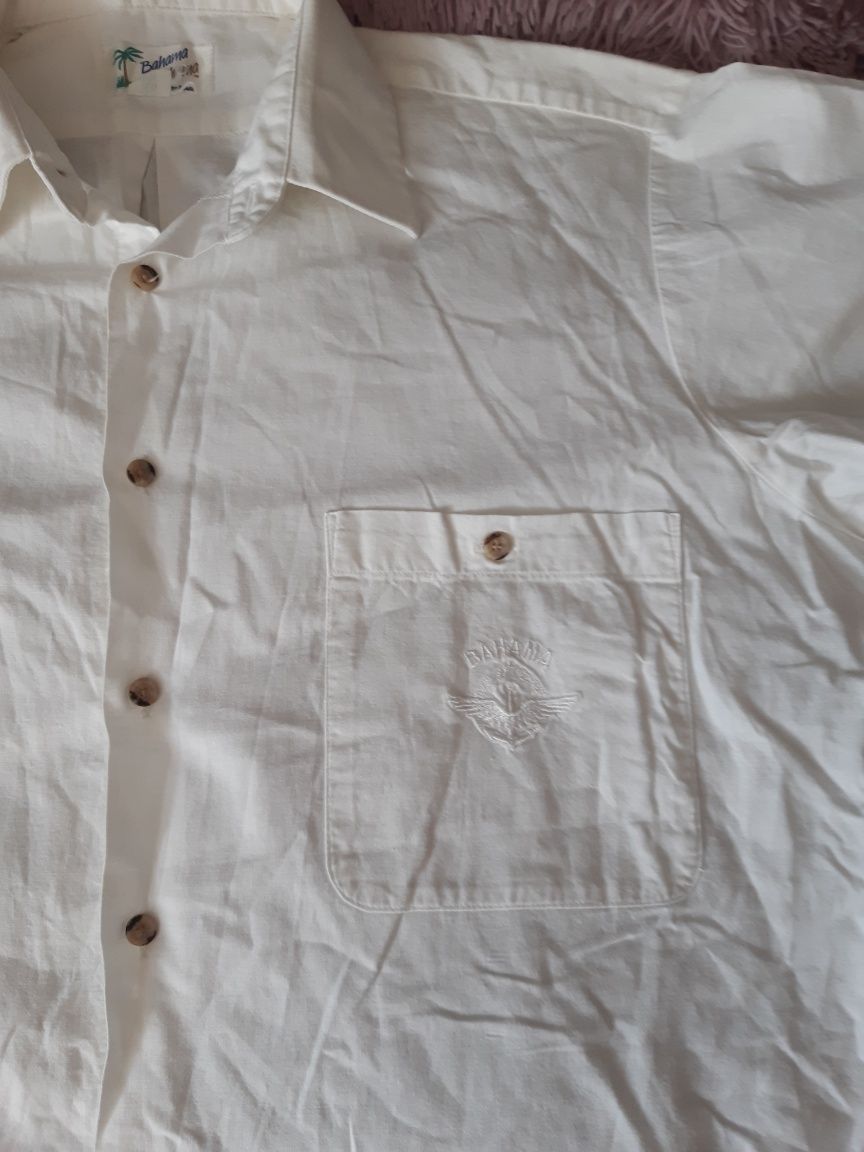 Koszula męska krótki rękaw 100% bawełny rozmiar L