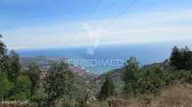 Terreno em Câmara de lobos 700m2