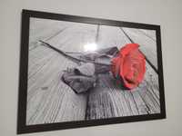 Obraz róża w ramie