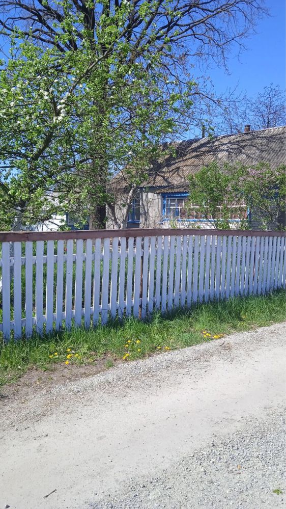 Будинок в пригороді Житомира