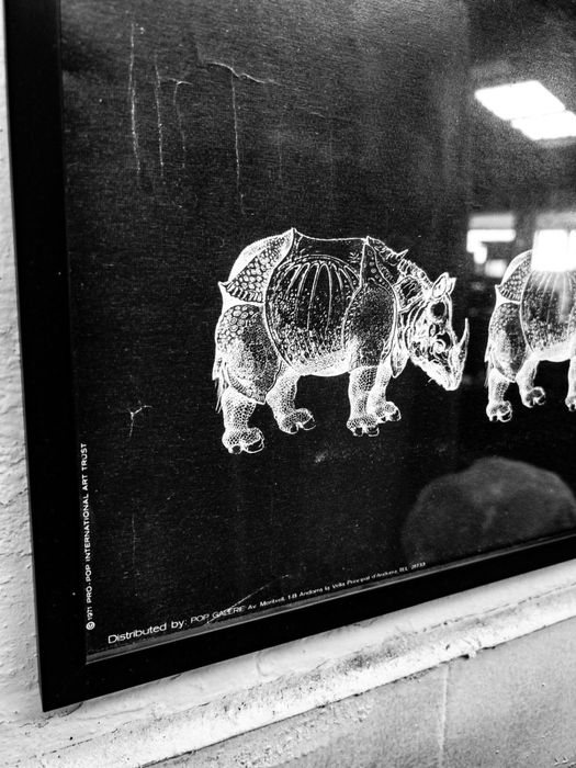 invulgar impressão em Offset dos anos 70 de manada de rinocerontes