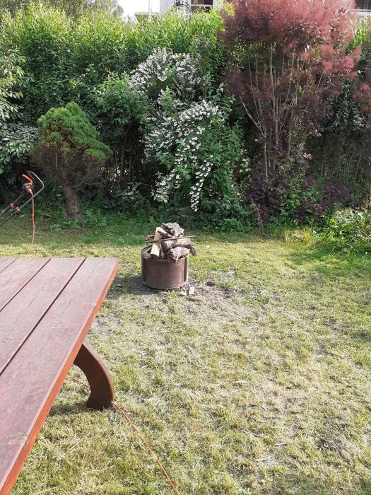 Sprzedam działkę ROD w Rodzinnym Ogrodzie Działkowym "Malwa"