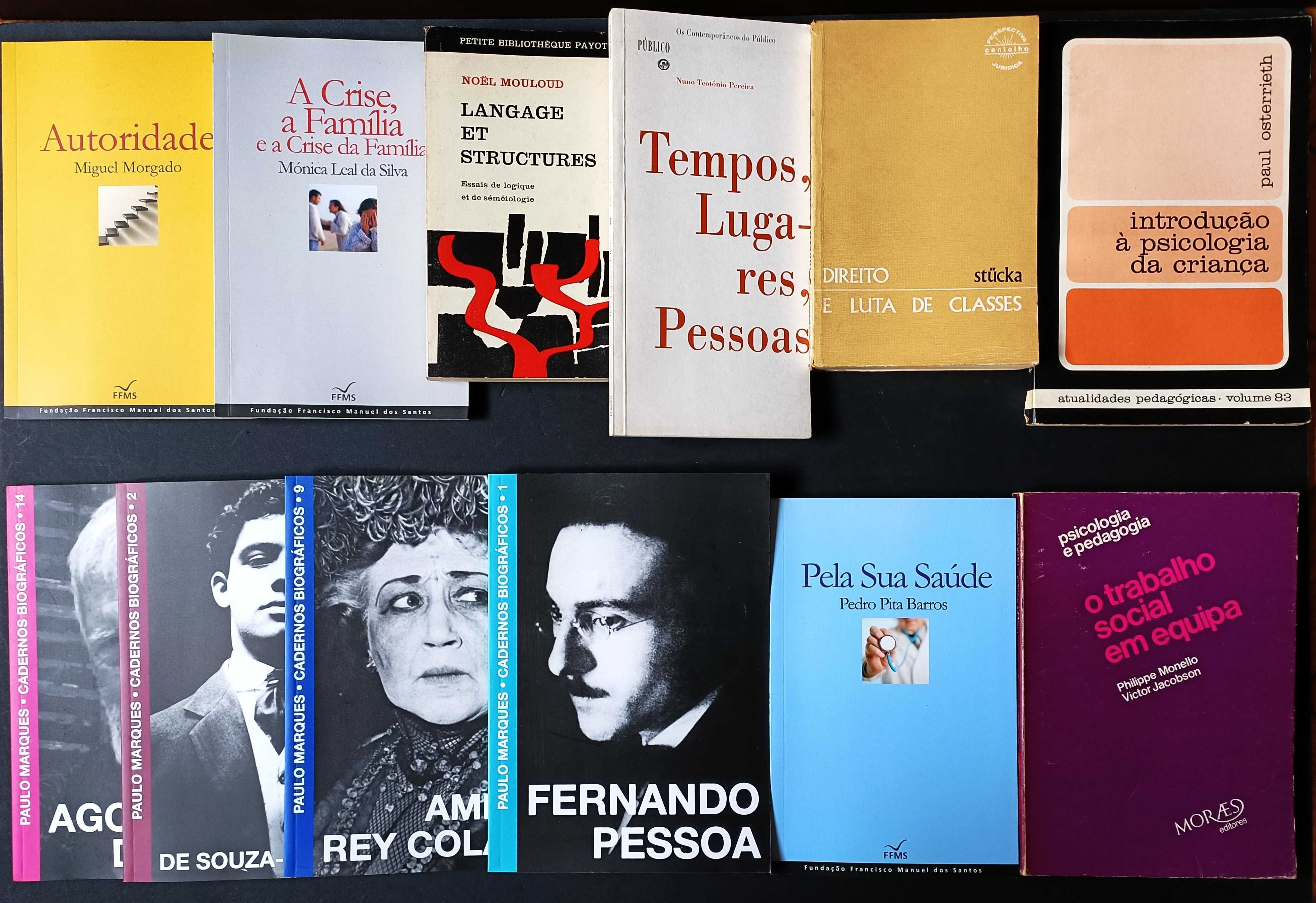 Lote de 69 livros de literatura variada, por apenas 100€.