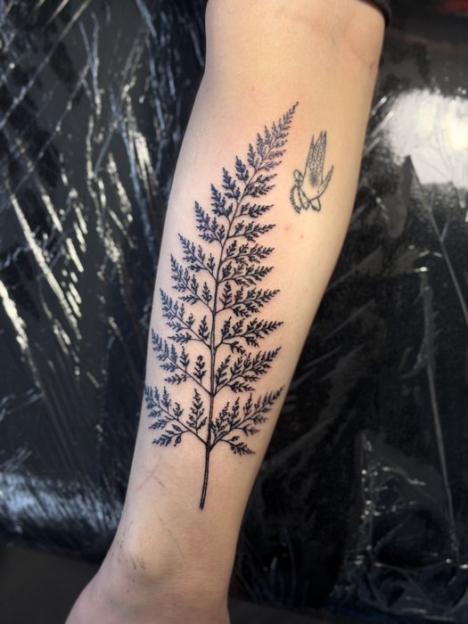 Тату мастер (набор в тату студию)