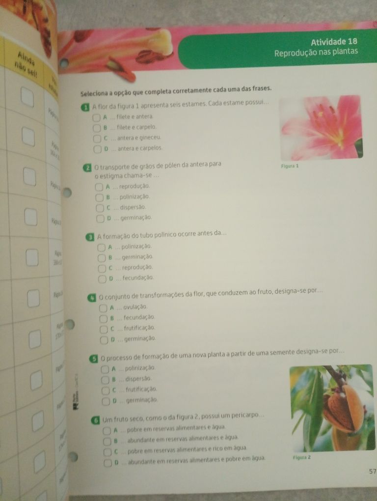 CienTic 6 caderno de atividades ciências naturais