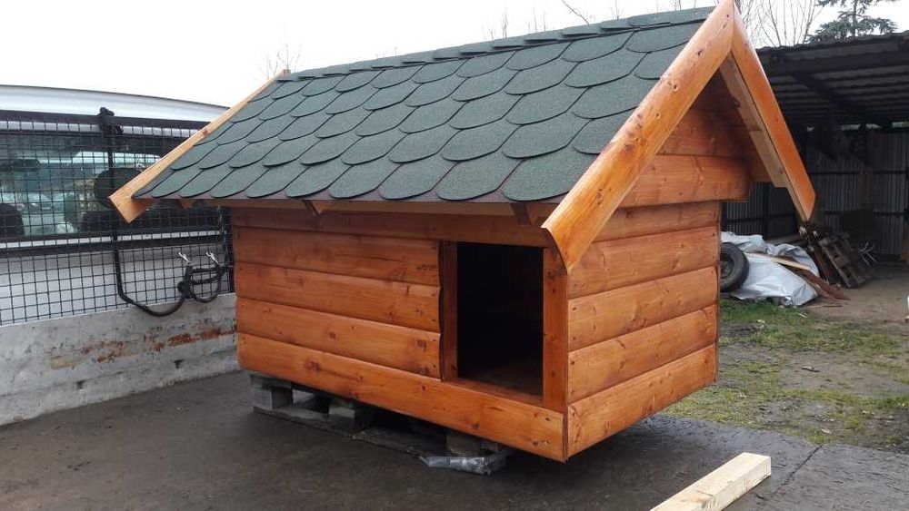 Buda dla dużego psa