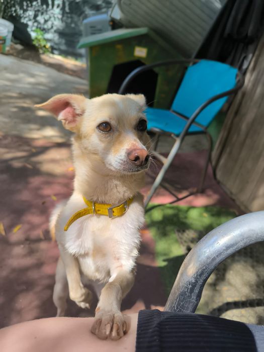 Macho porte mini + macho porte pequeno