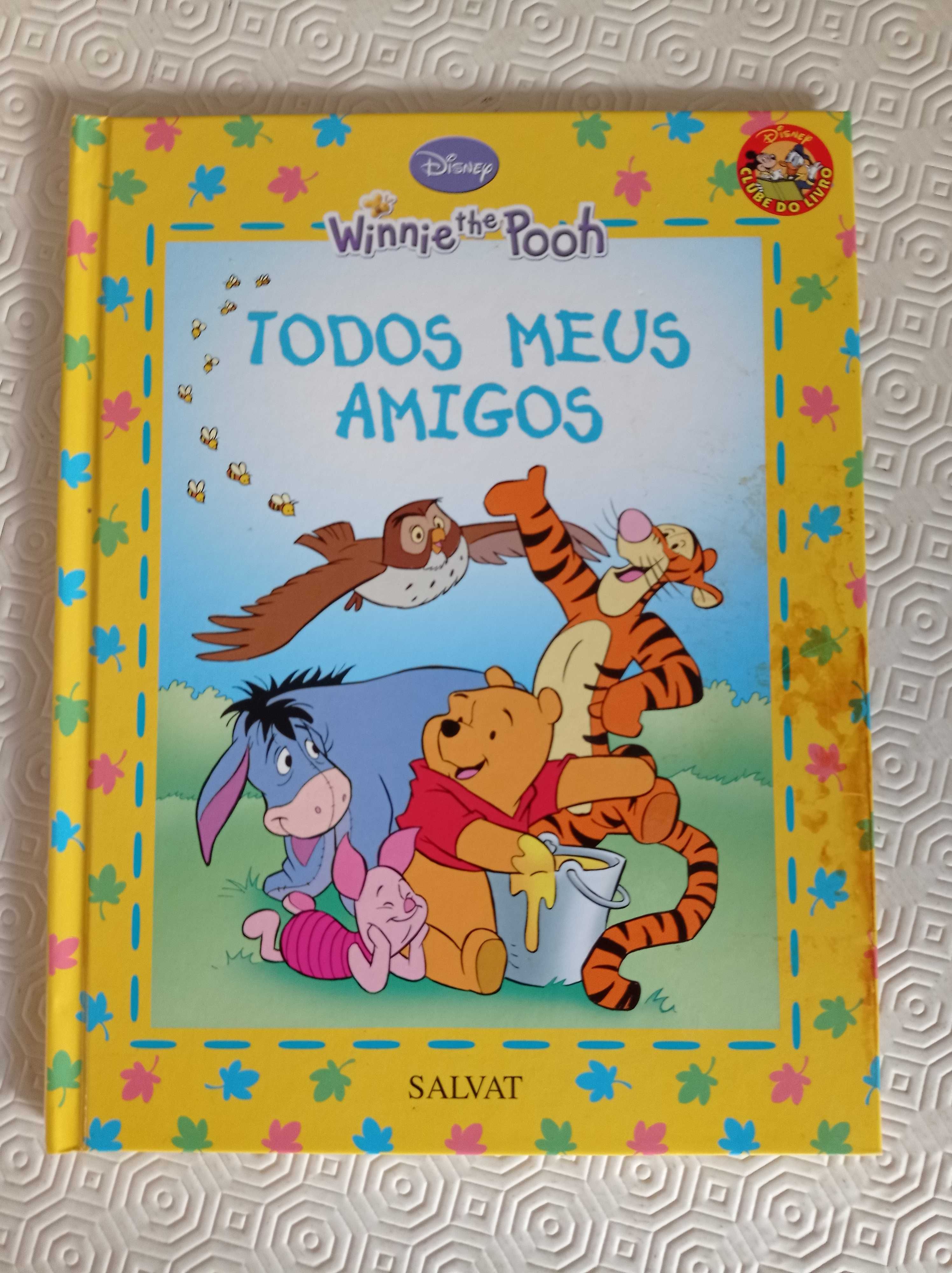 Livro Winnie The Pooh - Todos Meus Amigos