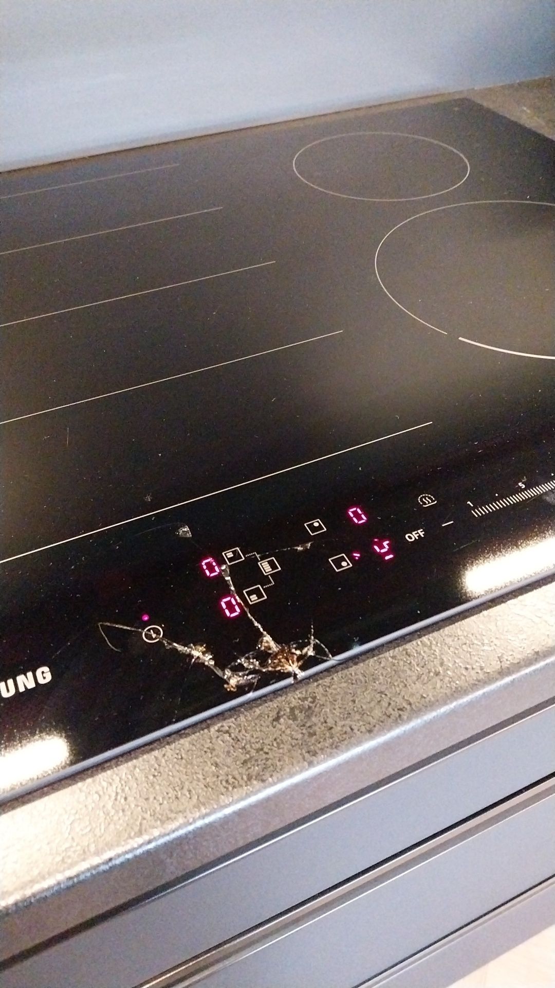 Indukcja Samsung uszkodzona