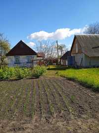 Продаж будинку, с. Іванків