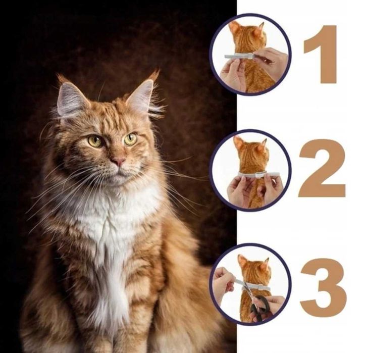 Obroża Na Pchły Kleszcze Dla Kota Na Pasożyty  8 Miesięcy 38 Cm