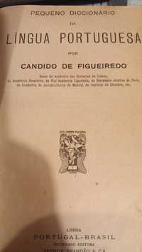 Antiguidade - dicionário d Cândido de Figueiredo de 1924