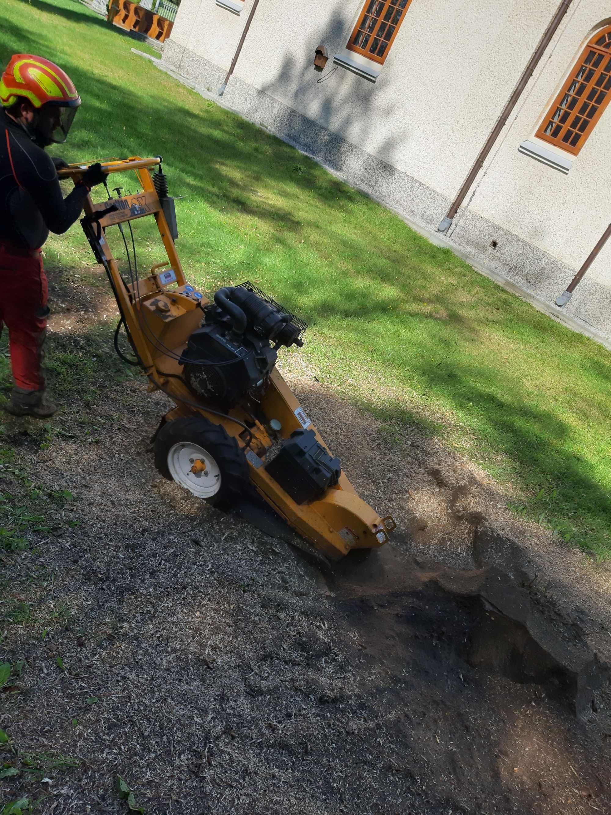 Wycinka drzew oraz pielęgnacja Radom, usuwanie pni, zrębkowanie