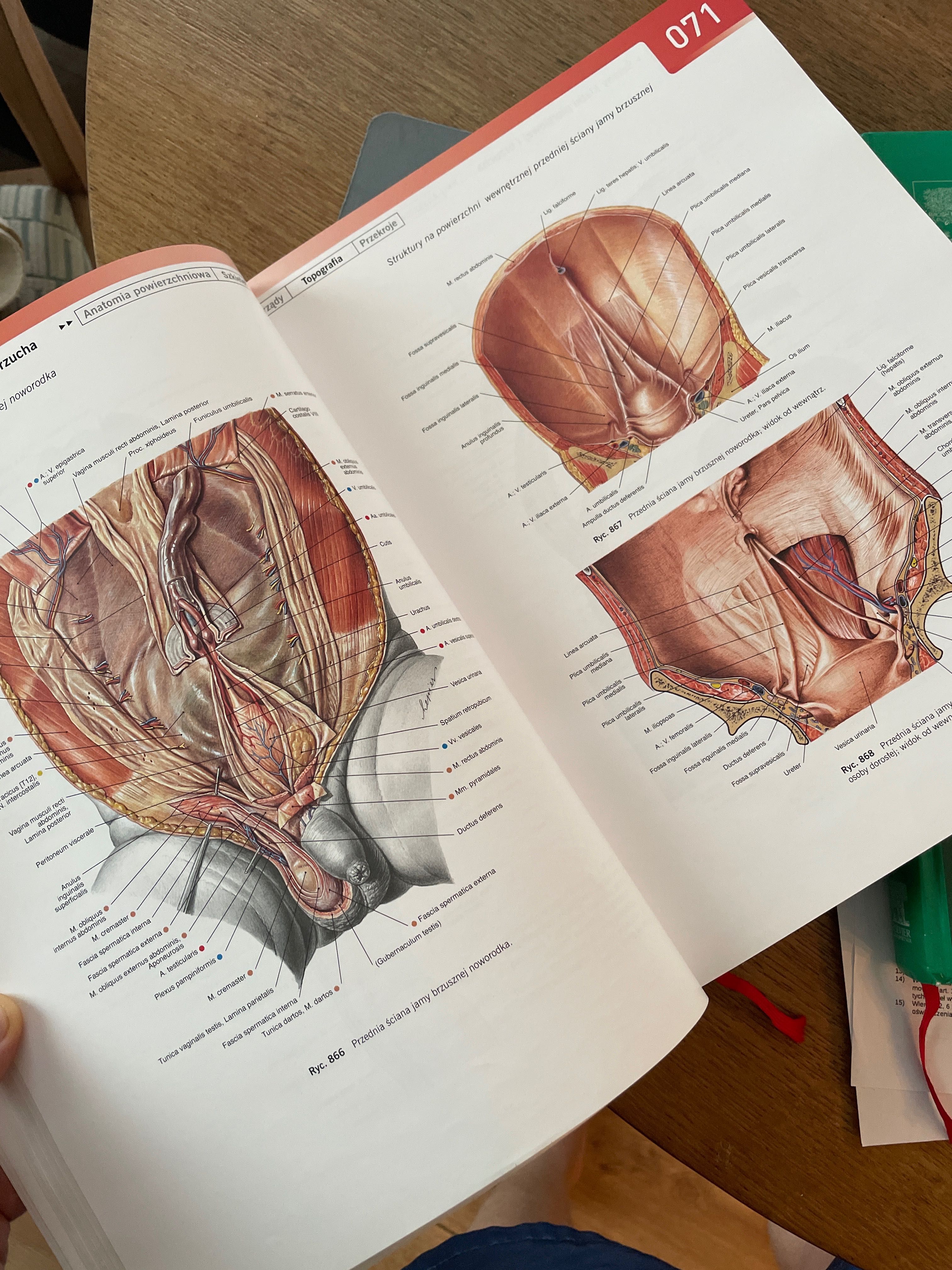 Sobotta Atlas Anatomiczny tom 1 i 2 wydanie 3 + tabele ANATOMIA