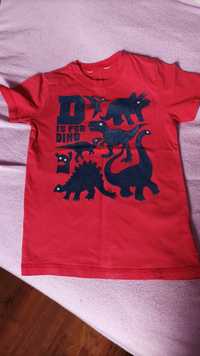 T-shirt koszulka dinozaury a'la zamszowe/wypukłe ok. 5 lat