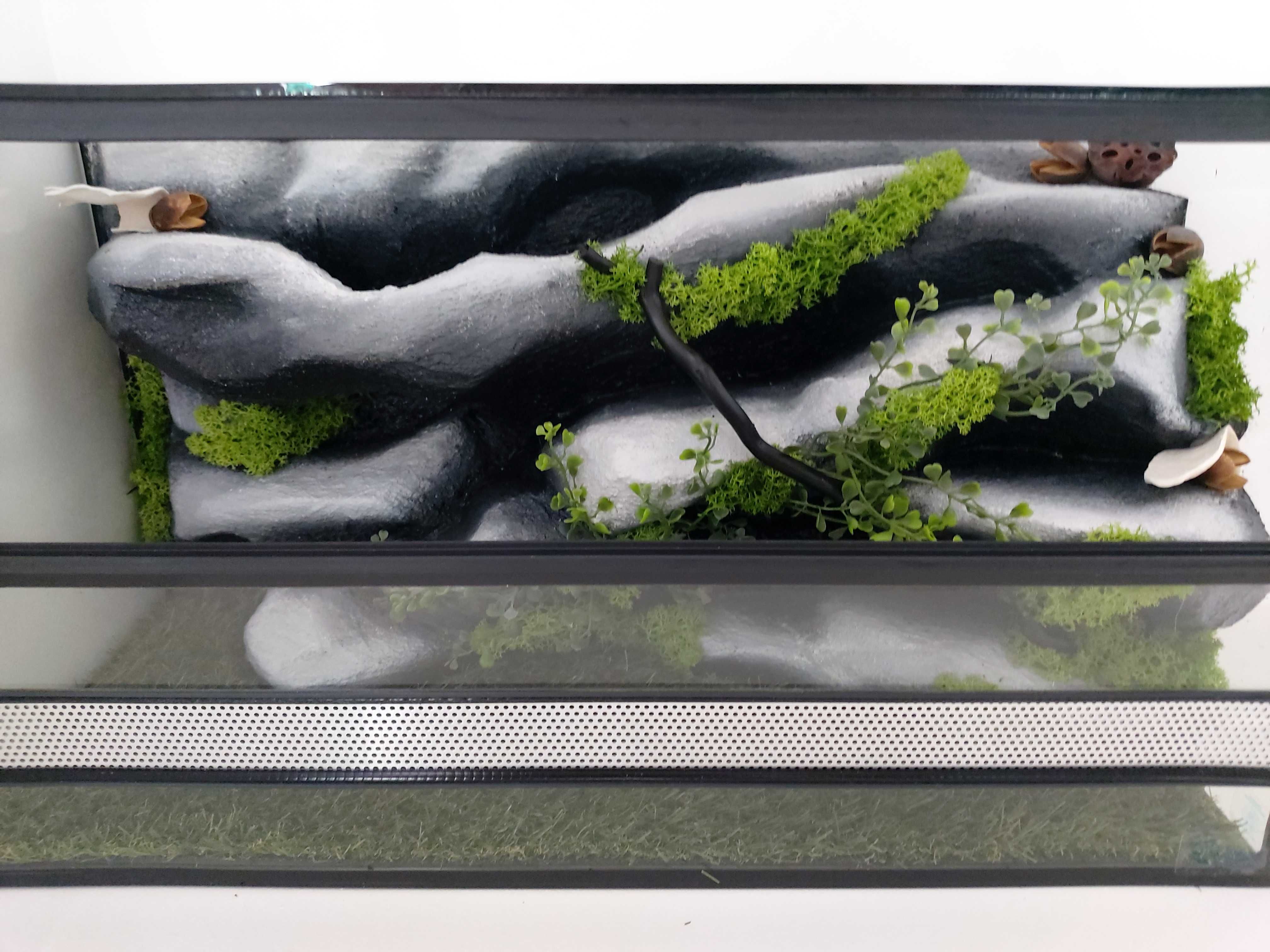 Terrarium dla gekona lamparciego, zbożówki, pytona TW21K, AquaWaves