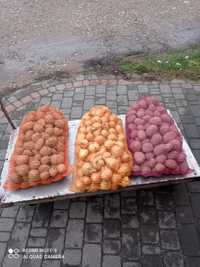 Sprzedam ziemniaki