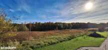 Duża działka w spokojnej okolicy, Knurów, 3000 m2.