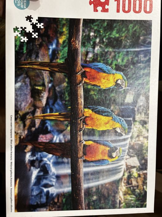 Пазл 1000 деталей складність для дорослих