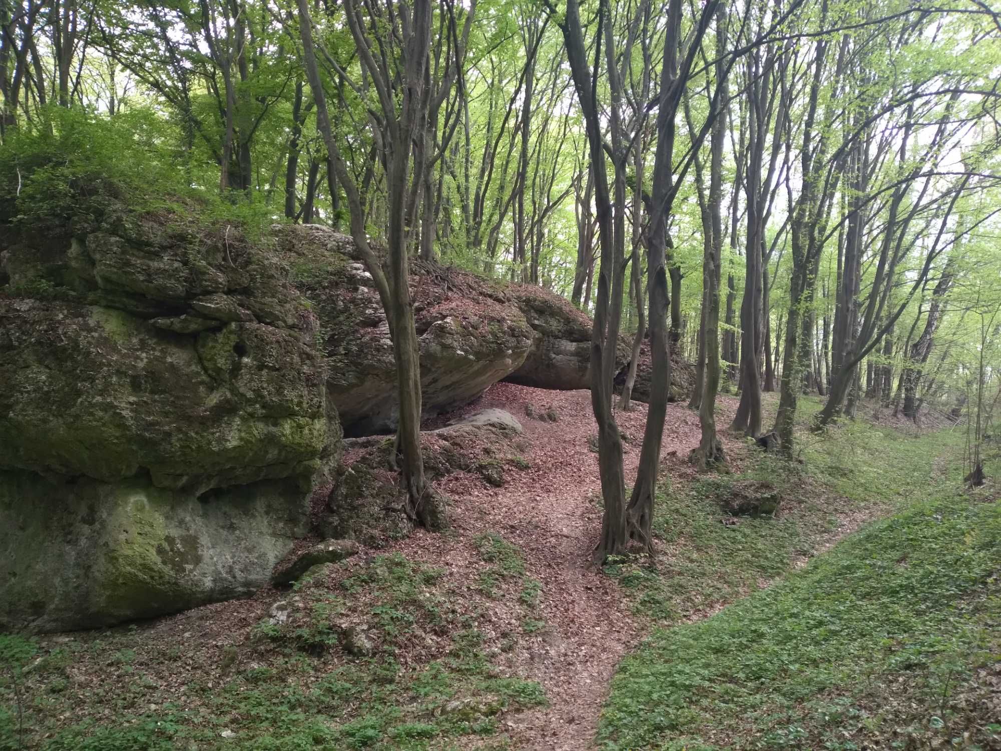 Domek letniskowy do wynajęcia