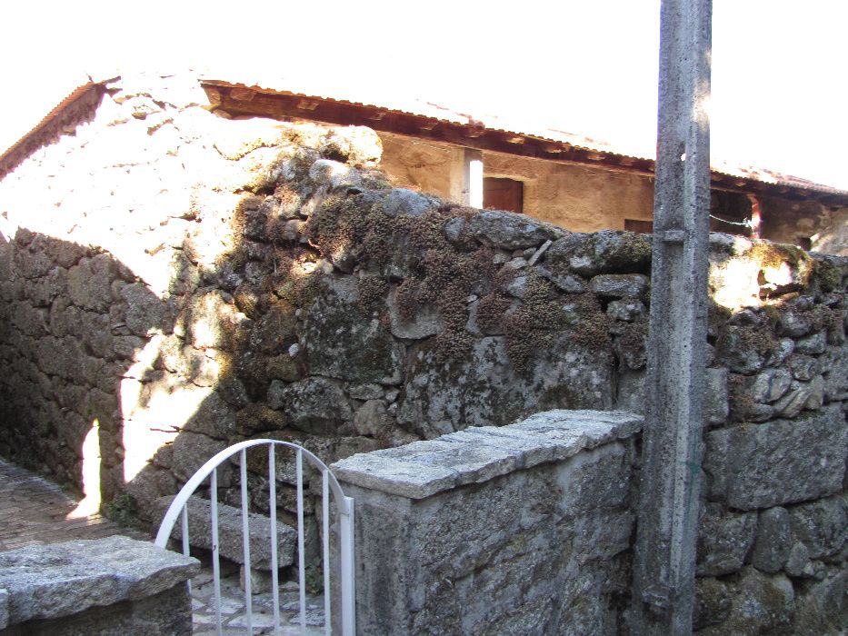 Casa de aldeia em Lamego