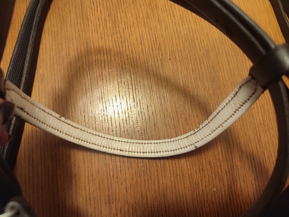 Ogłowie cob-full + wodze