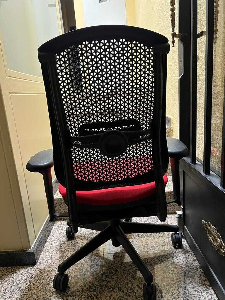 Cadeira Herman Miller Celle: O melhor para as suas costas