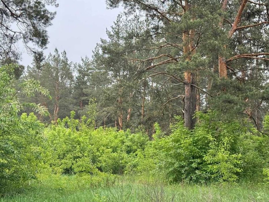 Земельна ділянка під котеджне містечко біля Києва! Власне озеро!