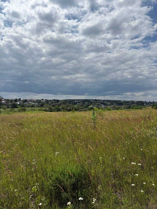 Продаж земельної ділянки село Ременів