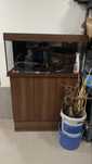 Akwarium Juwel Rio 180 drewno ciemne