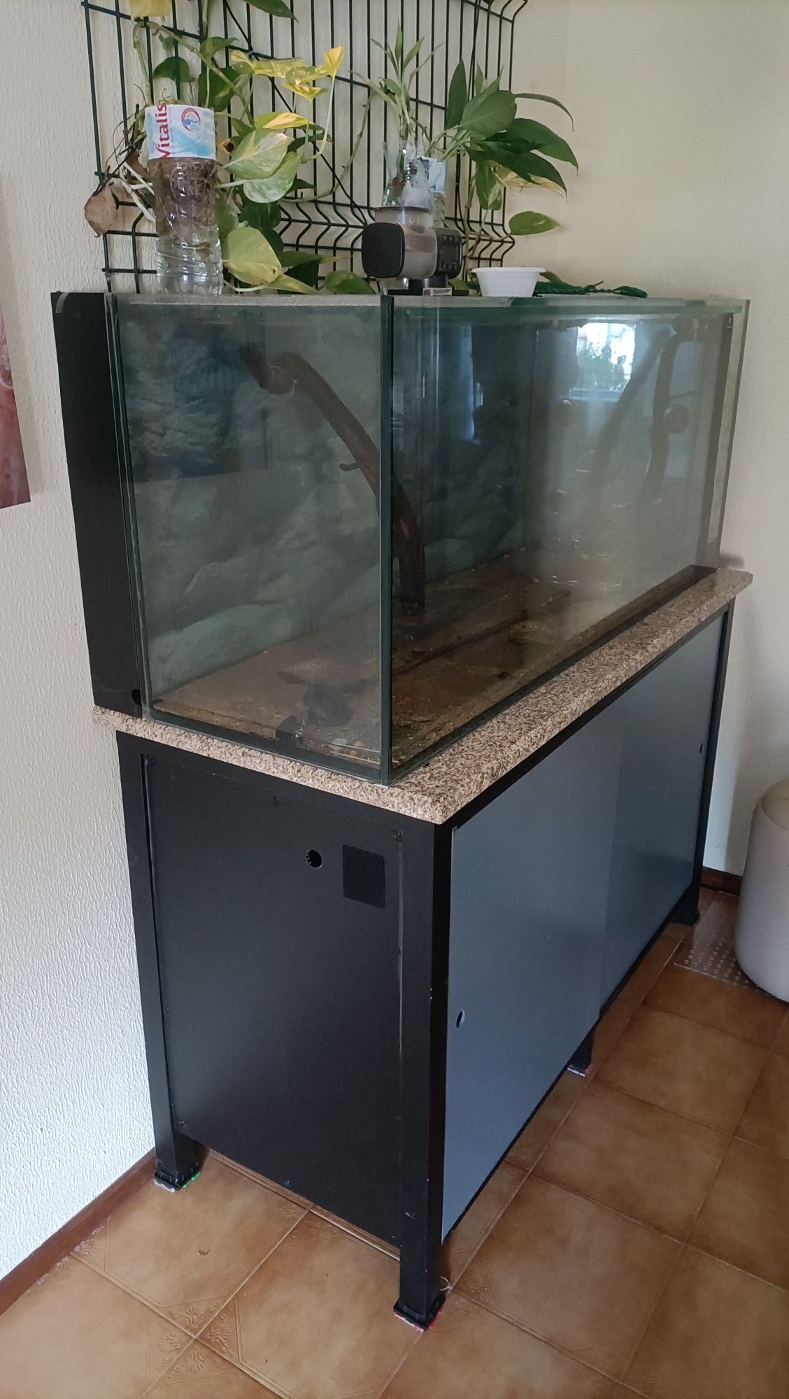 Aquário completo