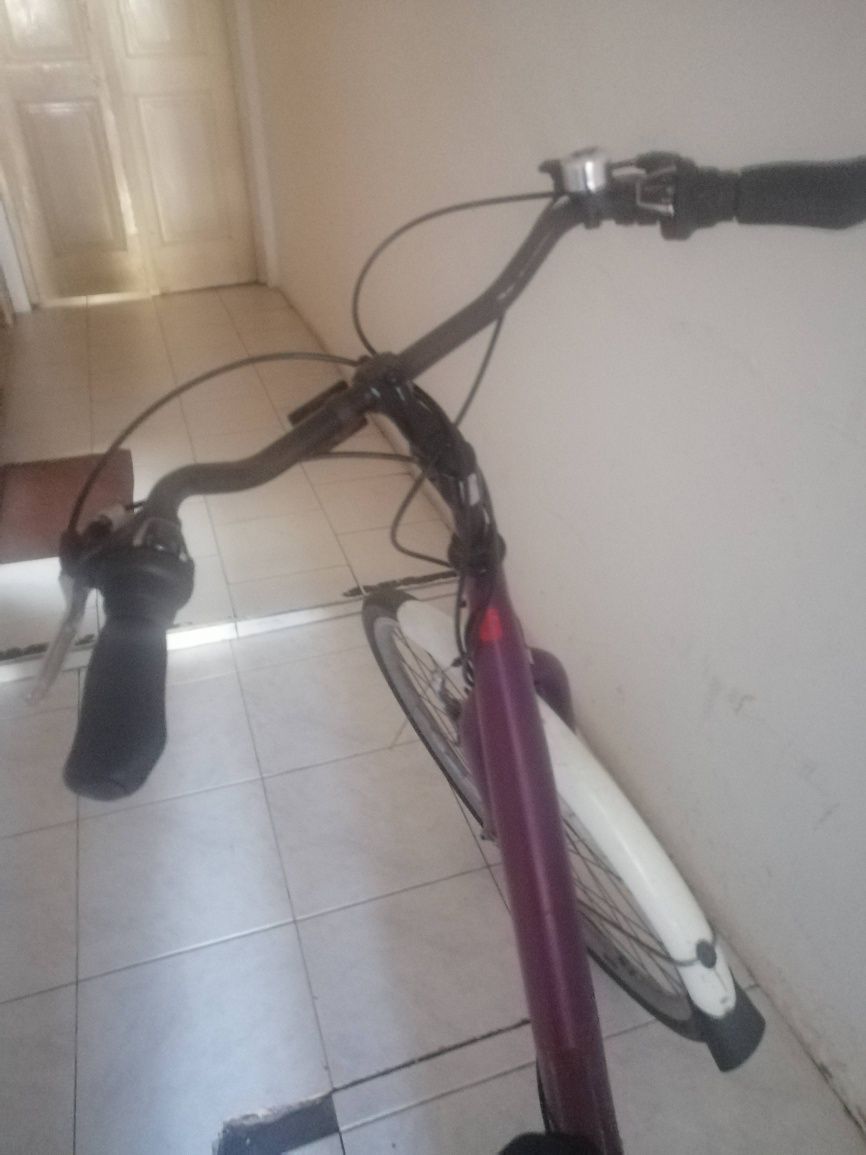 Bicicleta vintage