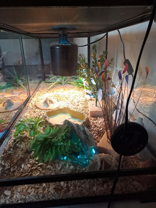 Terrarium jak nowe
