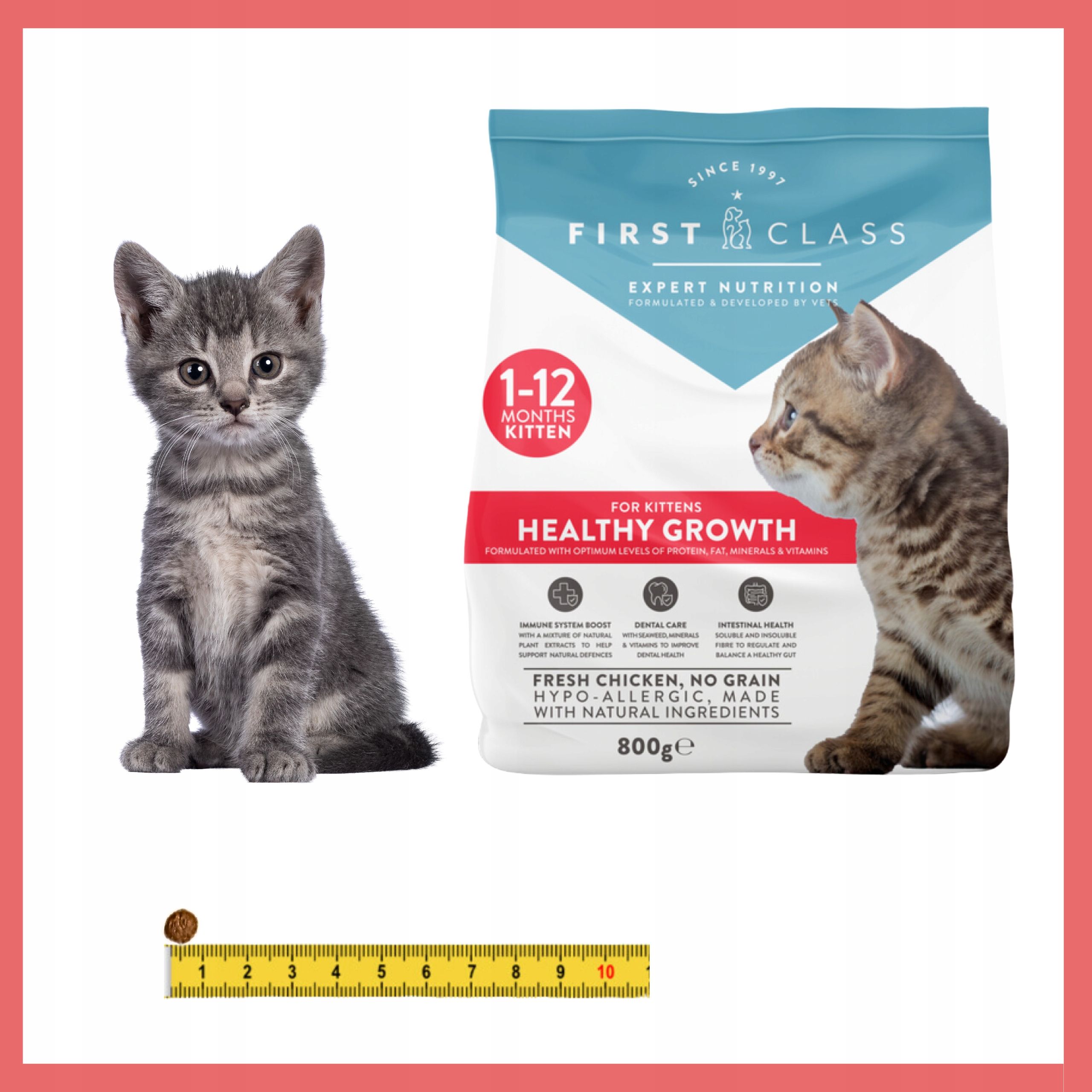 First Class kitten bezzbożowa karma sucha kurczak 800g
