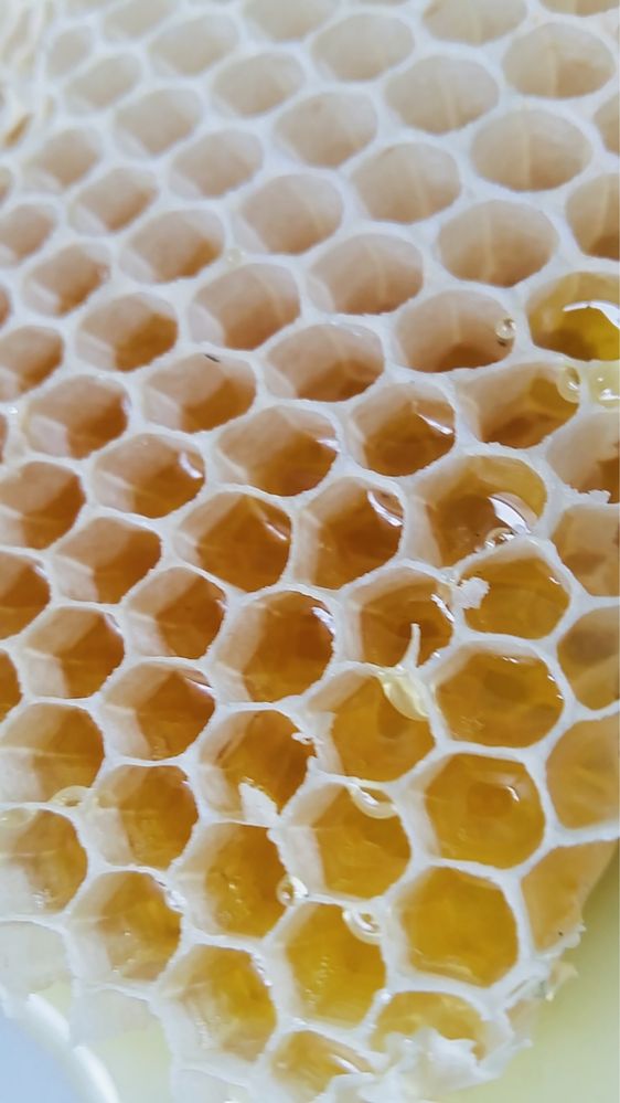 Miod pszczeli z rodzinnej pasieki faceliowy
