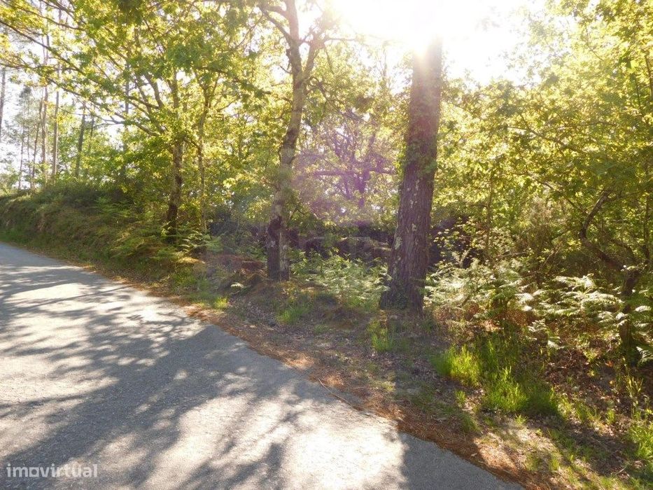 Terreno para construção.